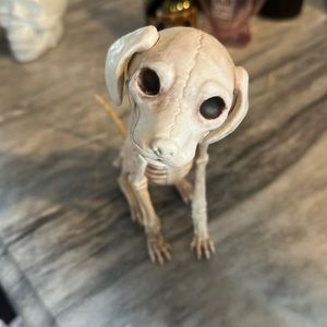 Dog Skeleton